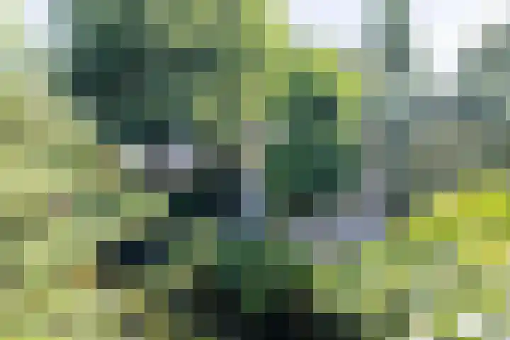 Luitertweg 3 Klein Zundert thumbnail 43