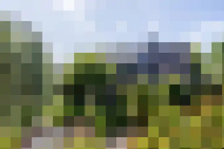 Luitertweg 3 Klein Zundert thumbnail 44