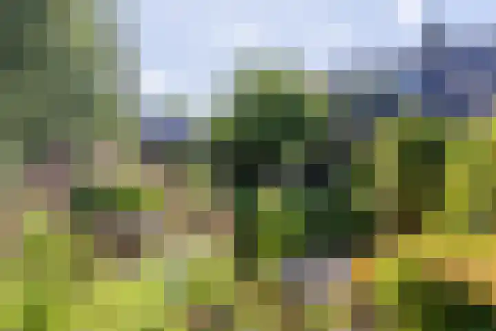 Luitertweg 3 Klein Zundert thumbnail 45