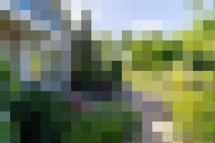 Luitertweg 3 Klein Zundert thumbnail 46
