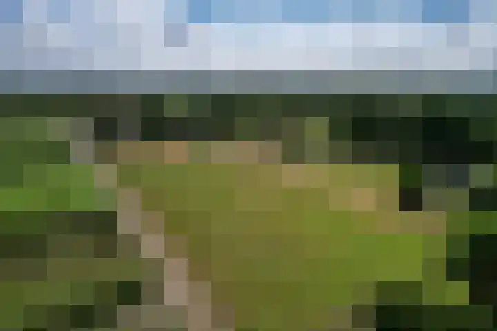 Luitertweg 3 Klein Zundert thumbnail 5