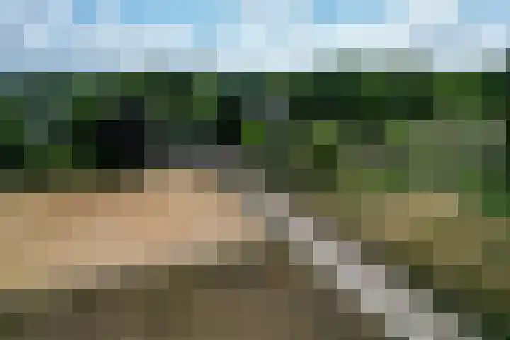 Luitertweg 3 Klein Zundert thumbnail 57