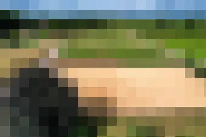 Luitertweg 3 Klein Zundert thumbnail 58
