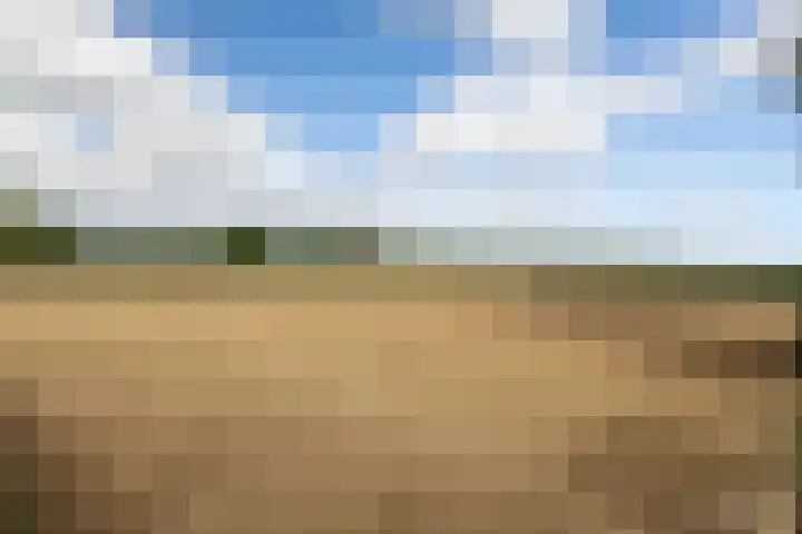 Luitertweg 3 Klein Zundert thumbnail 59