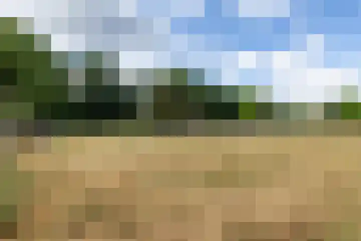 Luitertweg 3 Klein Zundert thumbnail 60