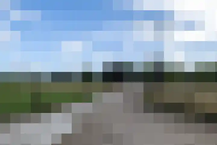 Luitertweg 3 Klein Zundert thumbnail 61