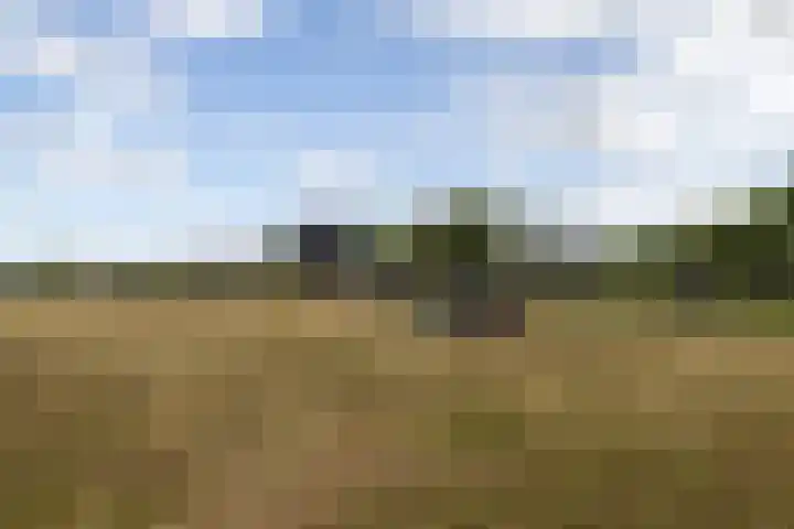 Luitertweg 3 Klein Zundert thumbnail 63
