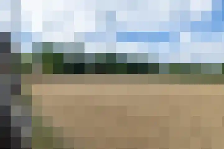 Luitertweg 3 Klein Zundert thumbnail 64