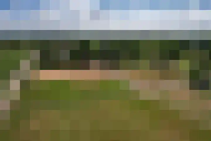 Luitertweg 3 Klein Zundert thumbnail 65