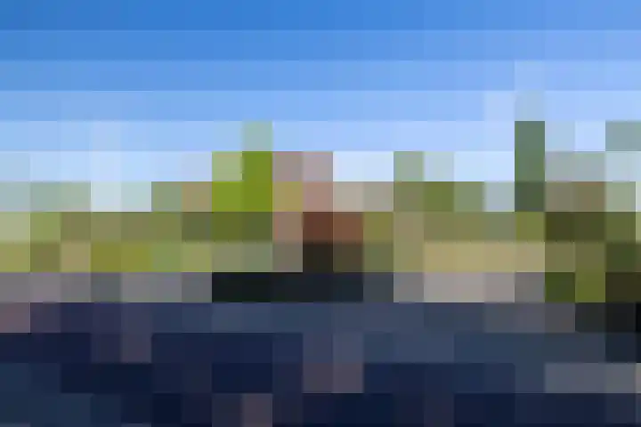 Luitertweg 3 Klein Zundert thumbnail 67