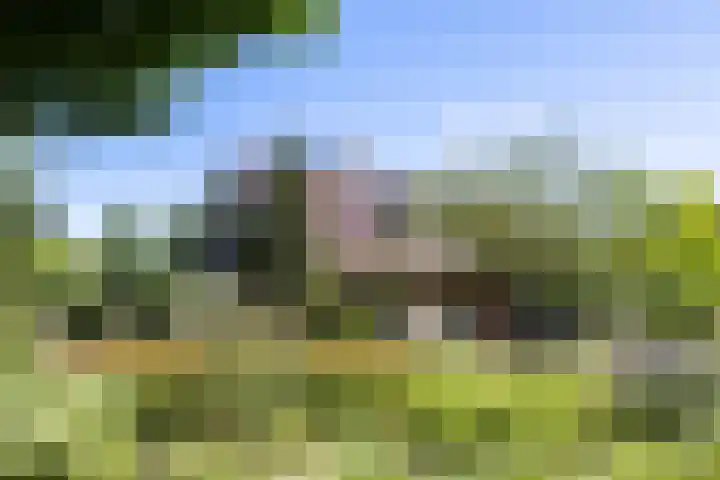 Luitertweg 3 Klein Zundert thumbnail 8