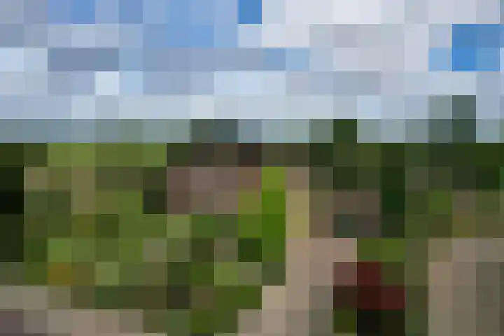 Luitertweg 3 Klein Zundert thumbnail 81
