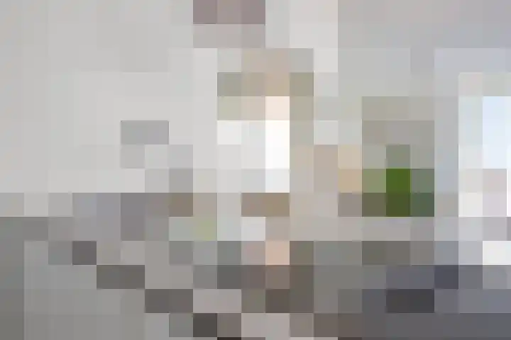Luitestraat 20 Haarlem thumbnail 9