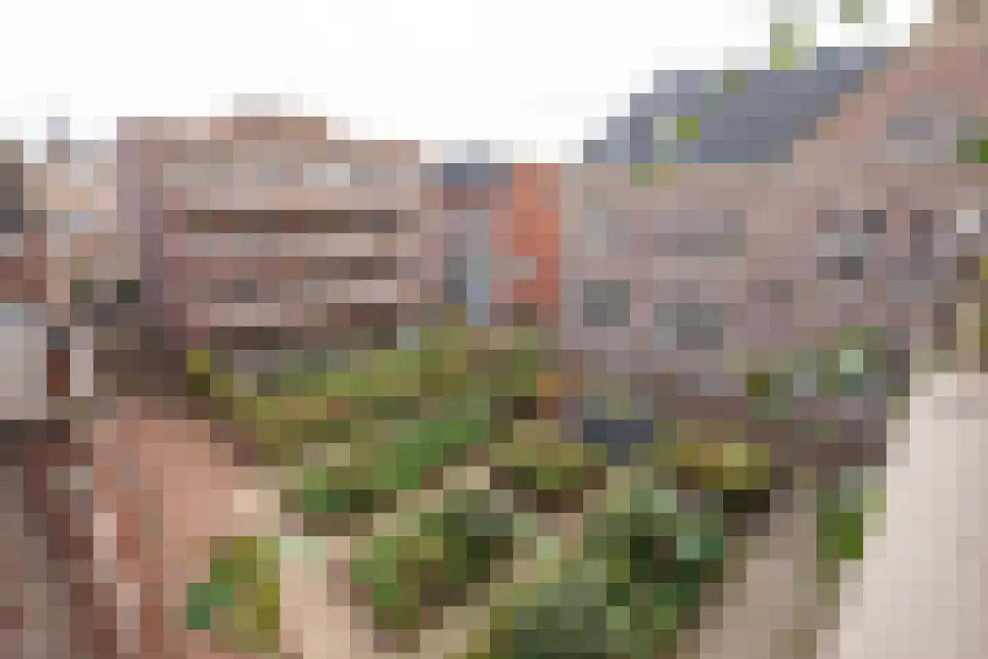 Luitestraat 23 Haarlem thumbnail 21