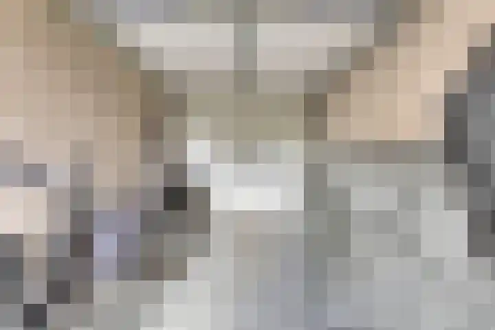Luitje Broekemastraat 10 Purmerend thumbnail 34
