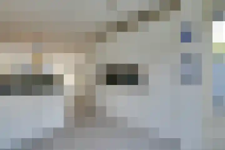 Luitje Broekemastraat 132 Purmerend thumbnail 30