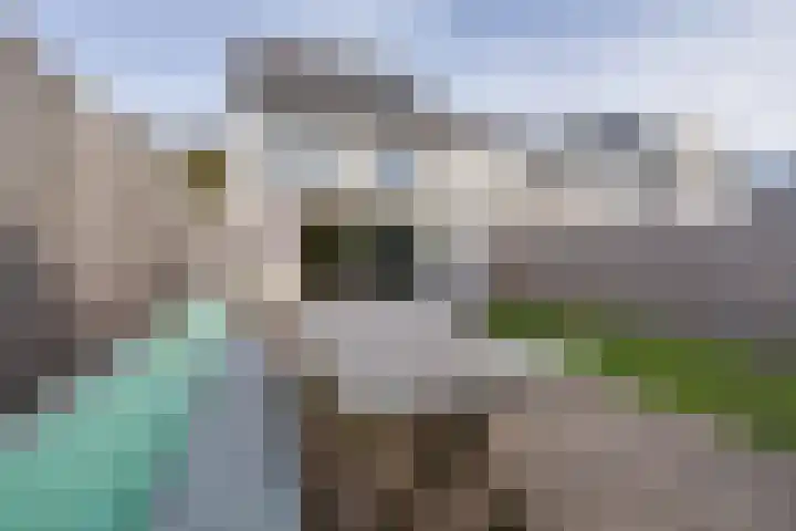 Luitje Broekemastraat 132 Purmerend thumbnail 34