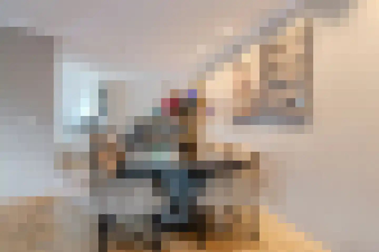 Luitje Broekemastraat 8 Purmerend thumbnail 10