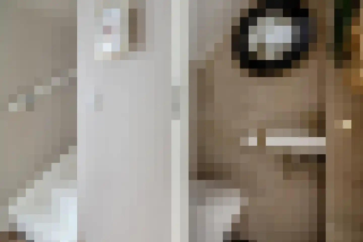 Luitje Broekemastraat 8 Purmerend thumbnail 4