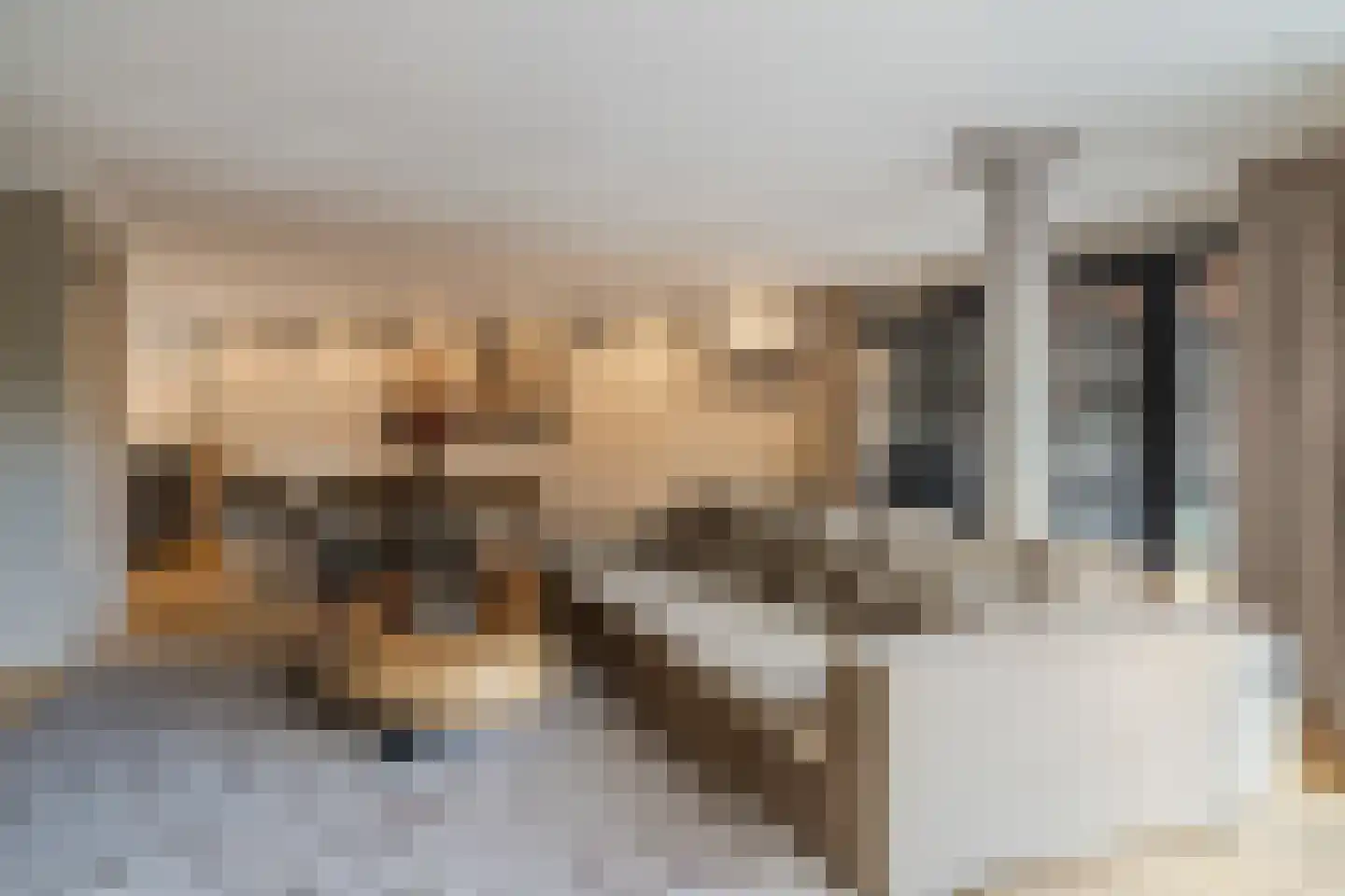 Luitje Broekemastraat 8 Purmerend thumbnail 7
