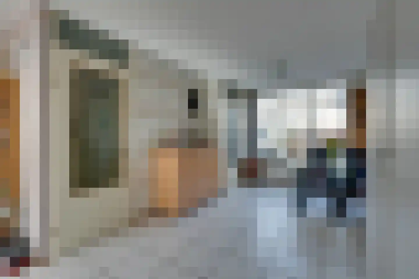 Luitje Broekemastraat 80 Purmerend thumbnail 15