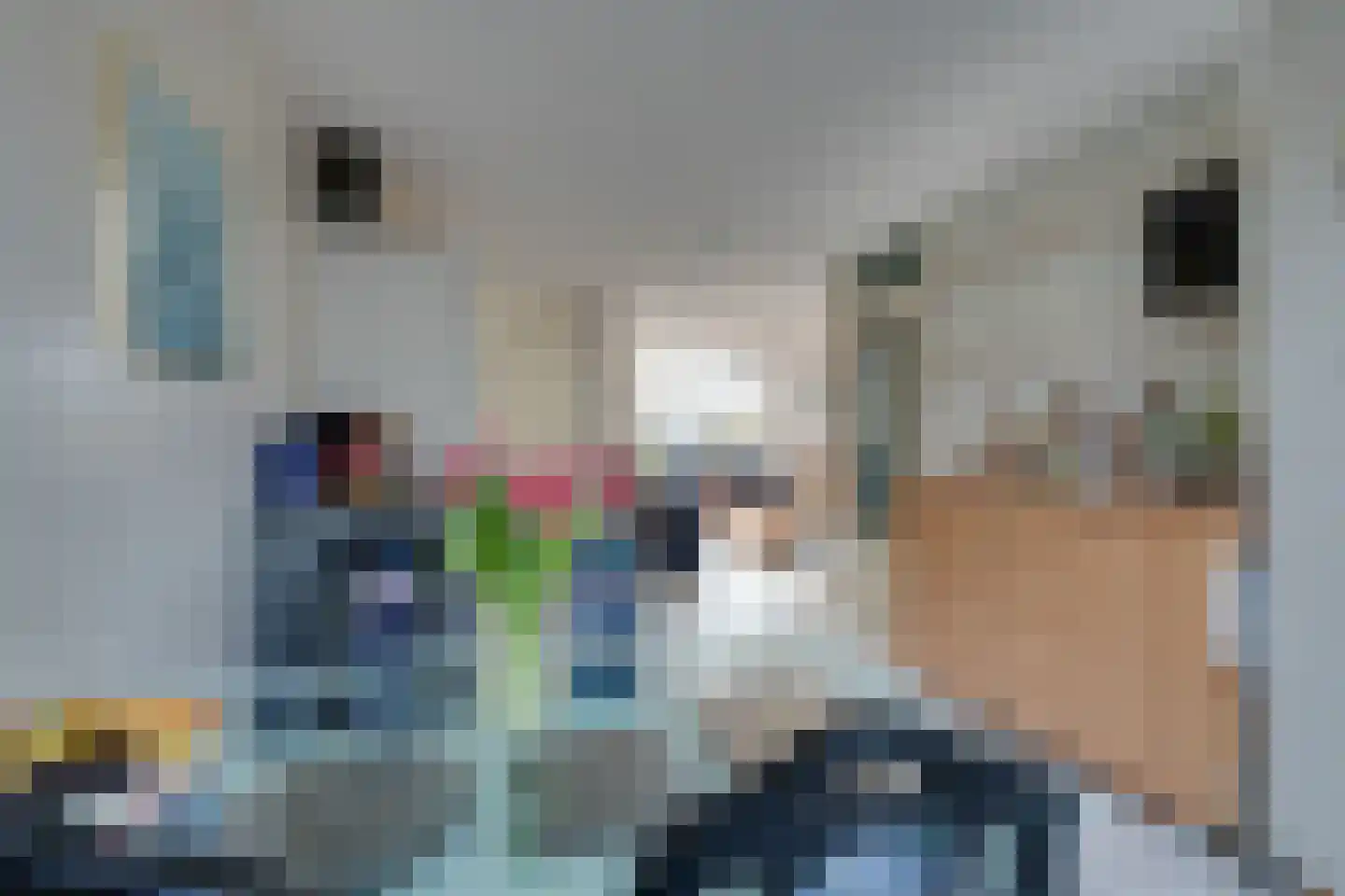 Luitje Broekemastraat 80 Purmerend thumbnail 16