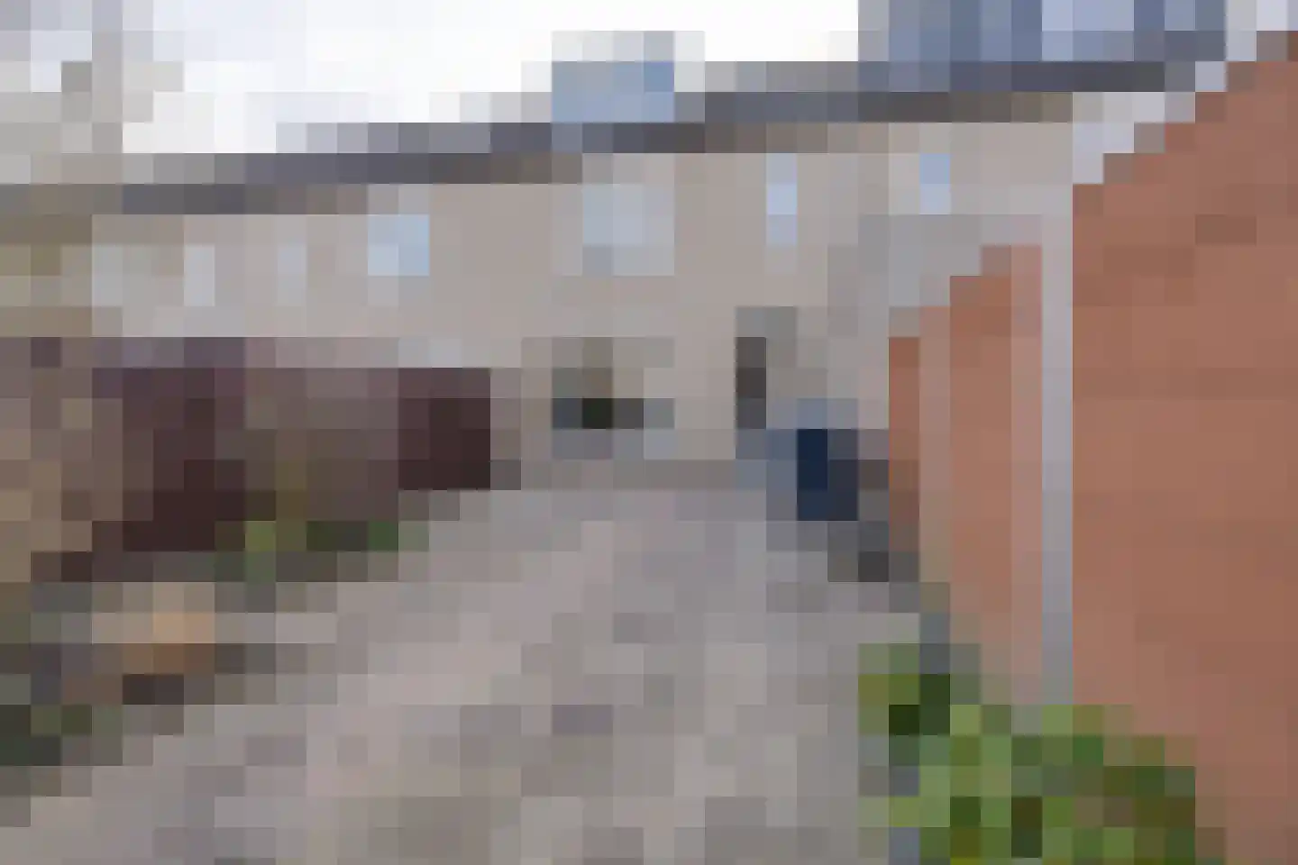 Luitje Broekemastraat 80 Purmerend foto 2