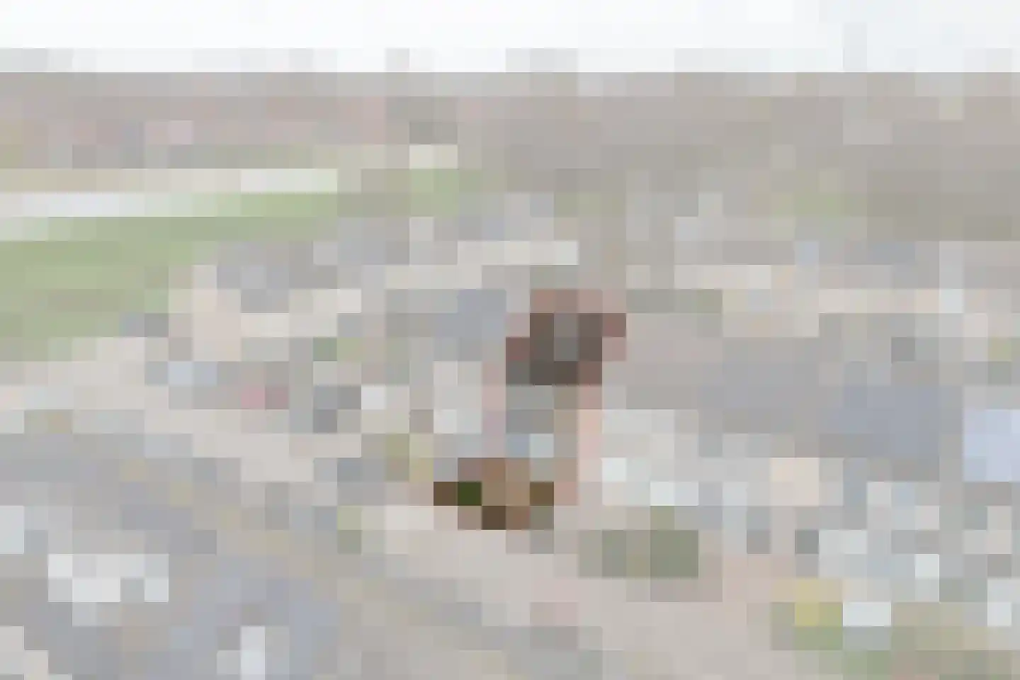 Luitje Broekemastraat 80 Purmerend thumbnail 4