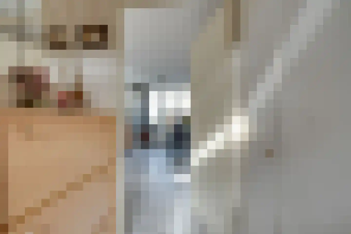 Luitje Broekemastraat 80 Purmerend thumbnail 7
