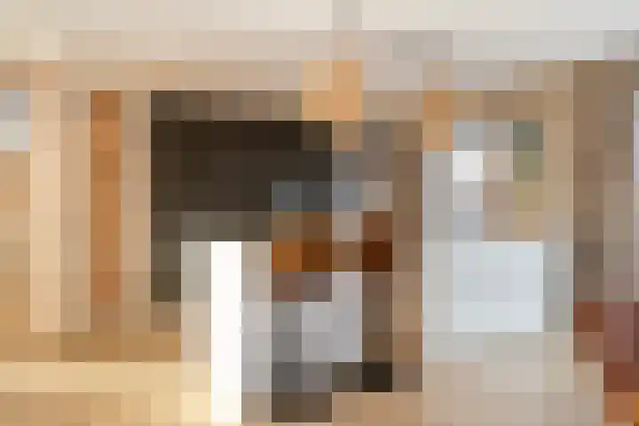 Luitspeler 3 Dronten thumbnail 20