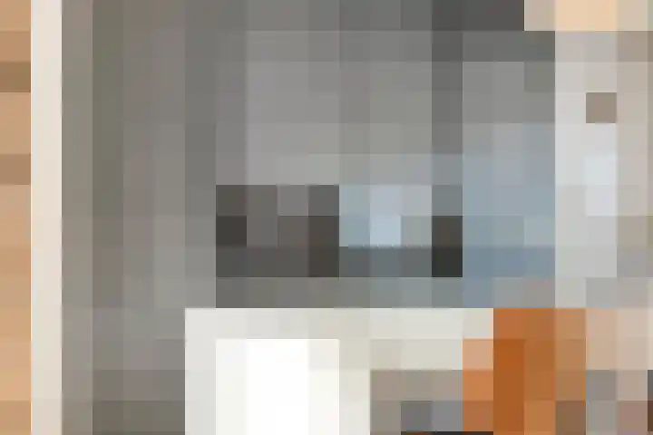 Luitspeler 3 Dronten thumbnail 26