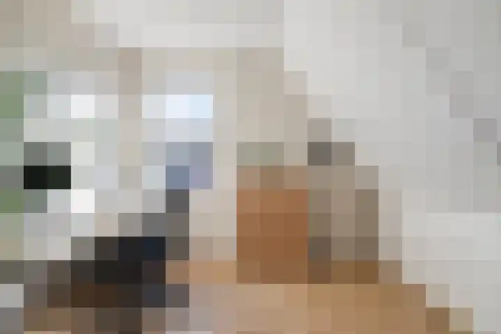 Luitspeler 3 Dronten thumbnail 38