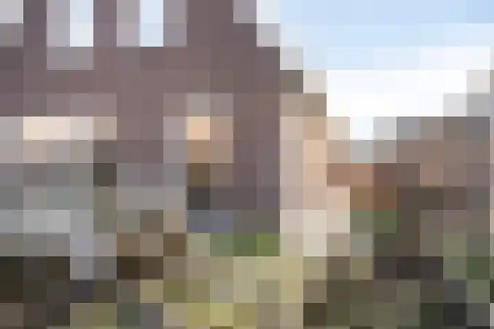 Luitspeler 3 Dronten thumbnail 46