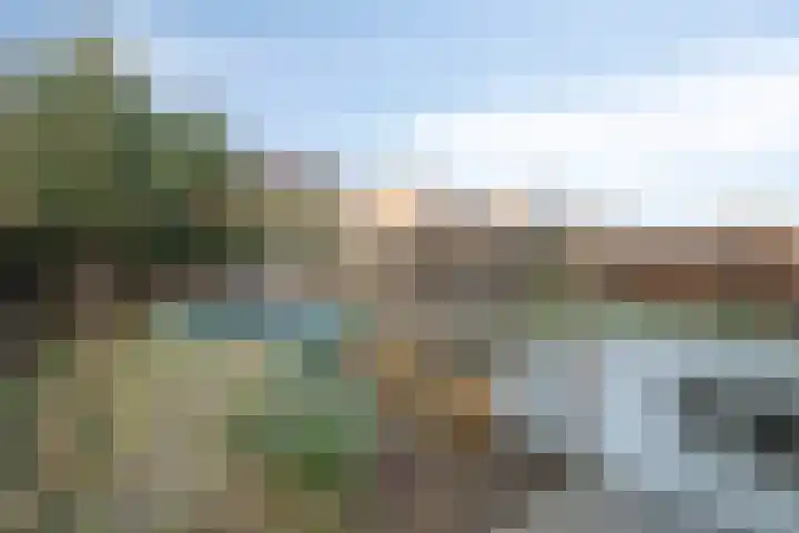 Luitspeler 3 Dronten thumbnail 48