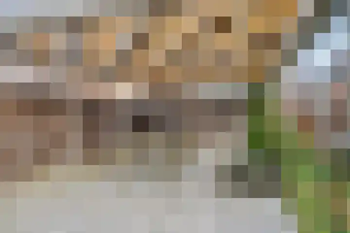 Luitspeler 3 Dronten thumbnail 49