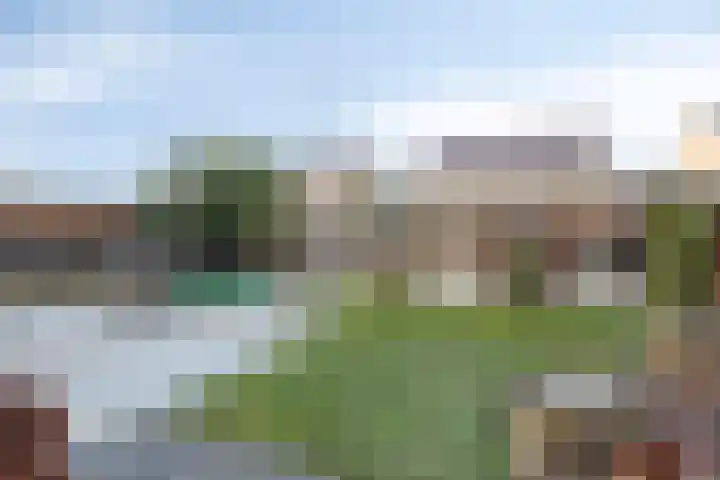 Luitspeler 3 Dronten thumbnail 51
