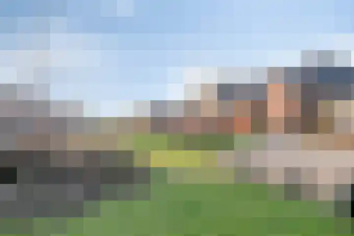 Luitspeler 3 Dronten thumbnail 57