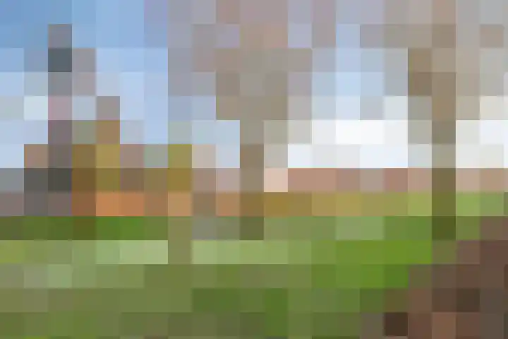 Luitspeler 3 Dronten thumbnail 58