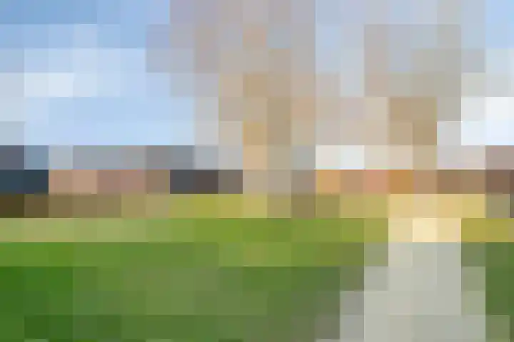 Luitspeler 3 Dronten thumbnail 59