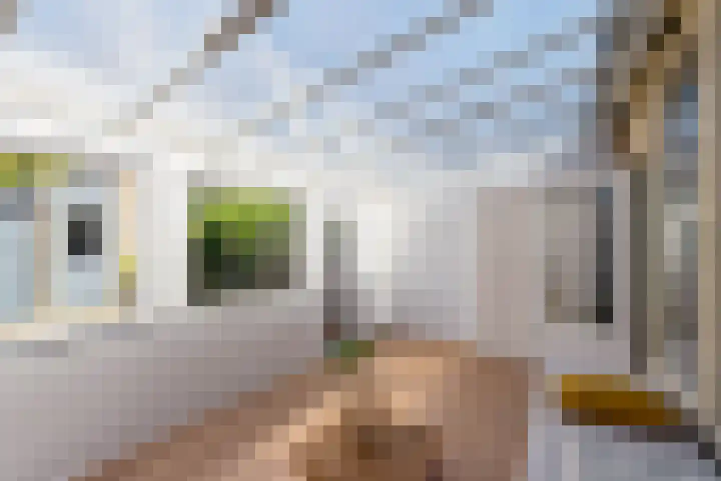 Luitstraat 46 Almere thumbnail 46