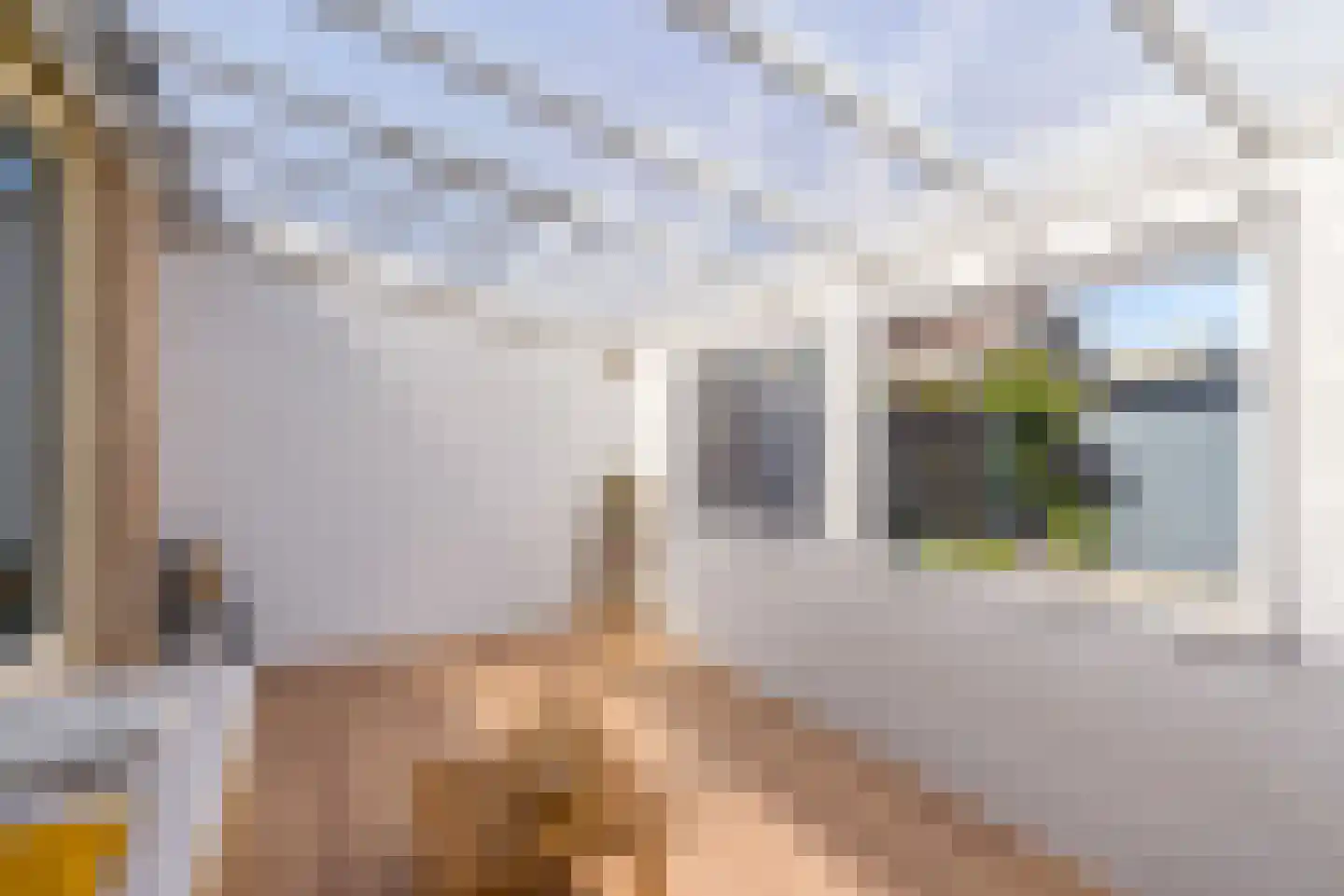 Luitstraat 46 Almere thumbnail 47