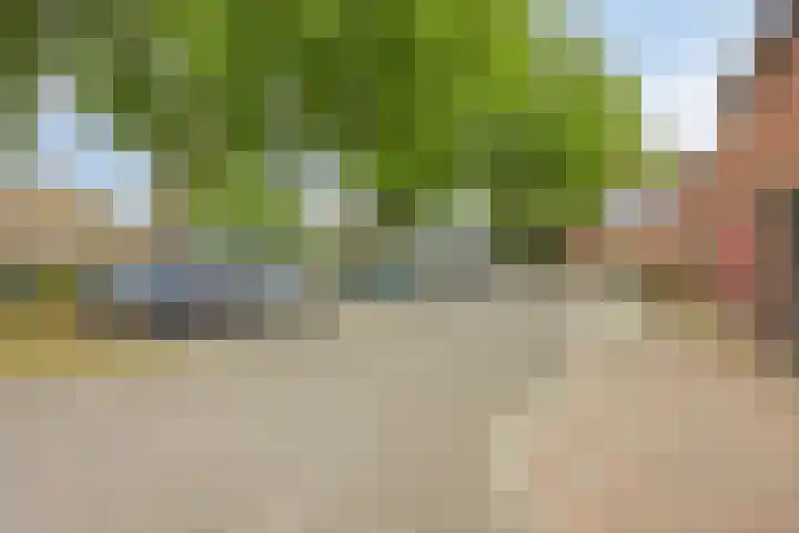 Luitstraat 51 Venray thumbnail 23