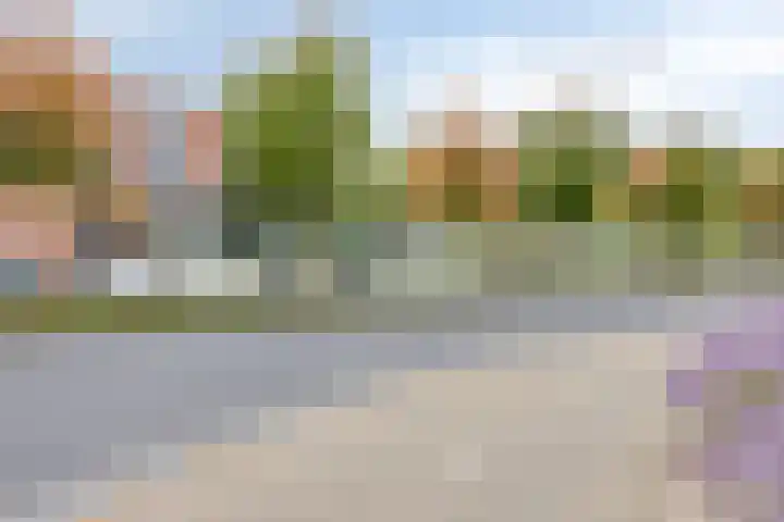 Luitstraat 51 Venray thumbnail 25