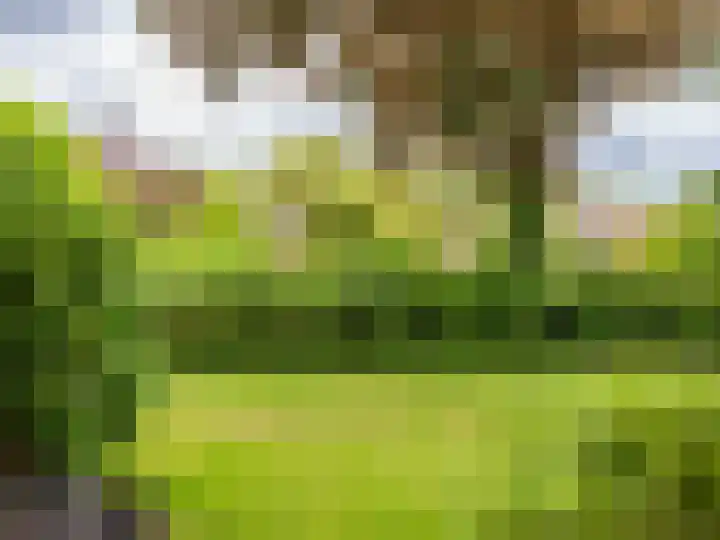 Luiveland 11 Bergen (NH) thumbnail 15