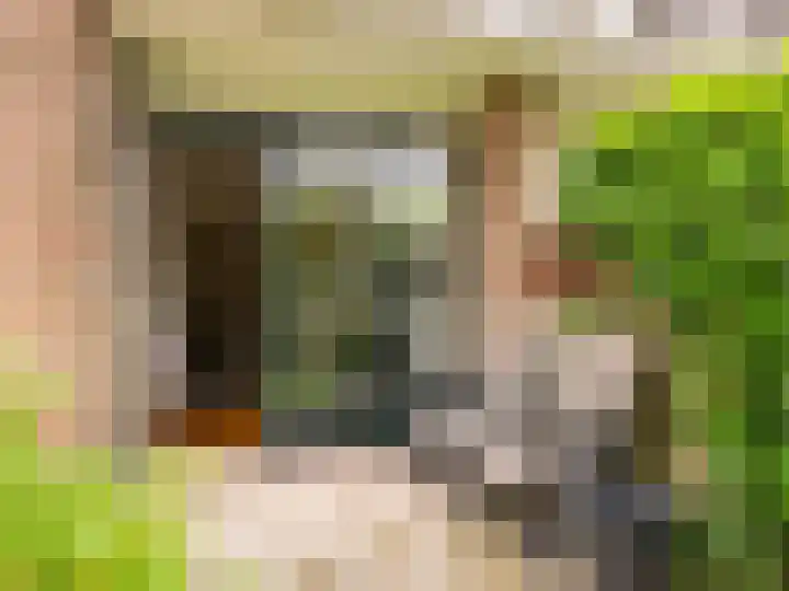 Luiveland 11 Bergen (NH) thumbnail 17