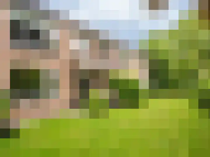 Luiveland 11 Bergen (NH) thumbnail 18