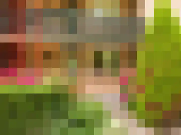 Luiveland 11 Bergen (NH) thumbnail 19