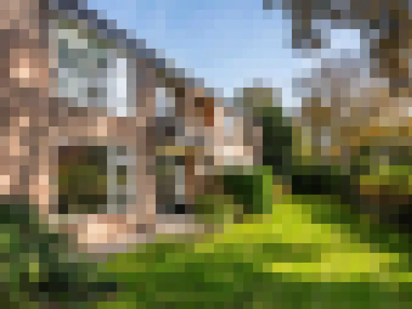 Luiveland 11 Bergen (NH) thumbnail 20