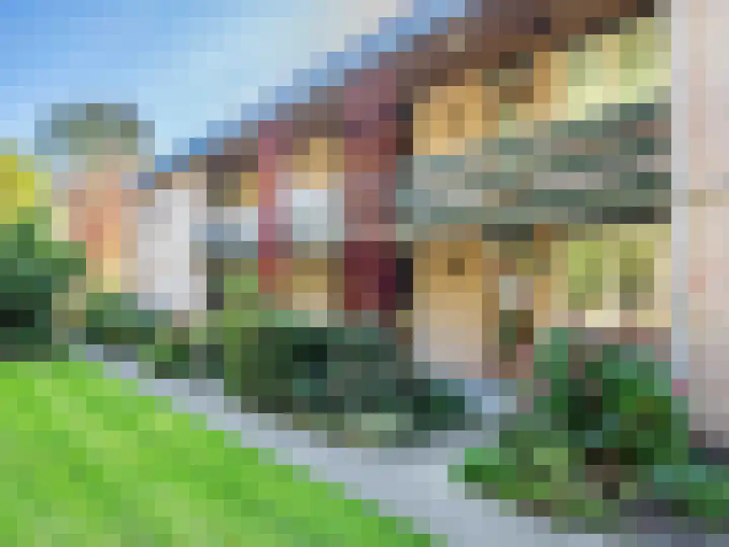 Luiveland 11 Bergen (NH) thumbnail 22