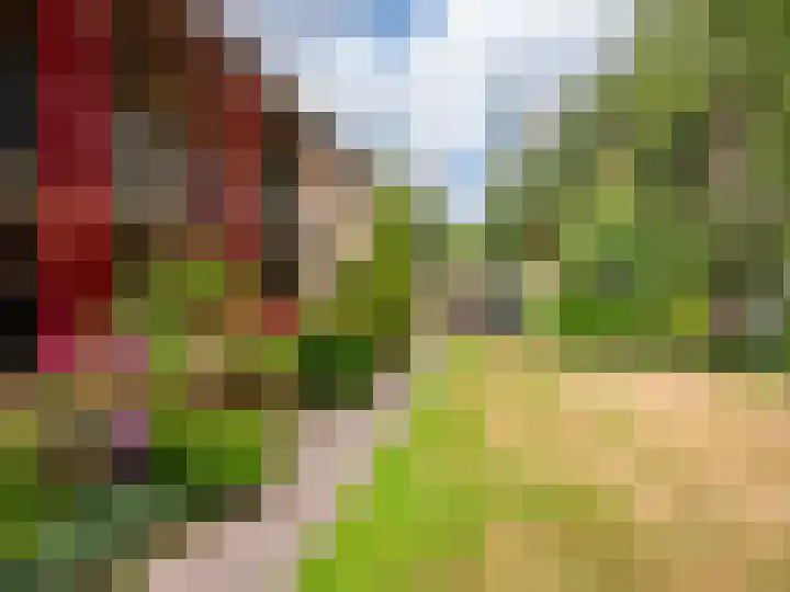 Luiveland 11 Bergen (NH) thumbnail 23